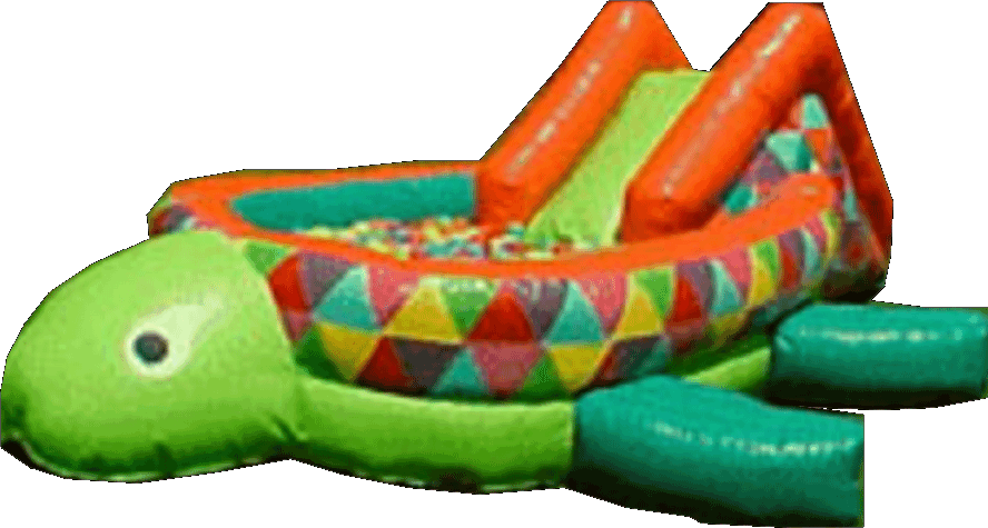 TORTUGA DE PELOTAS $1,100.00, renta por 5 hrs